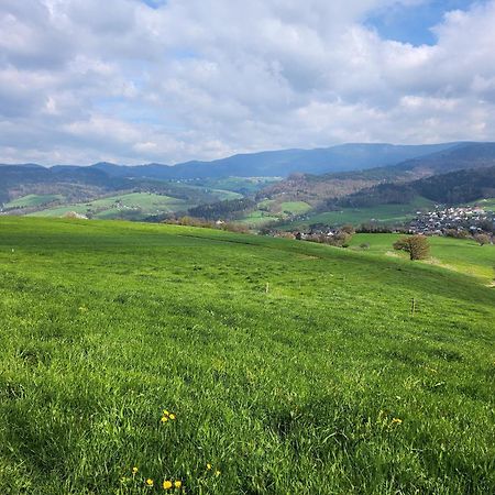 Ferienwohnung Herzlicht Titisee-Neustadt Eksteriør bilde