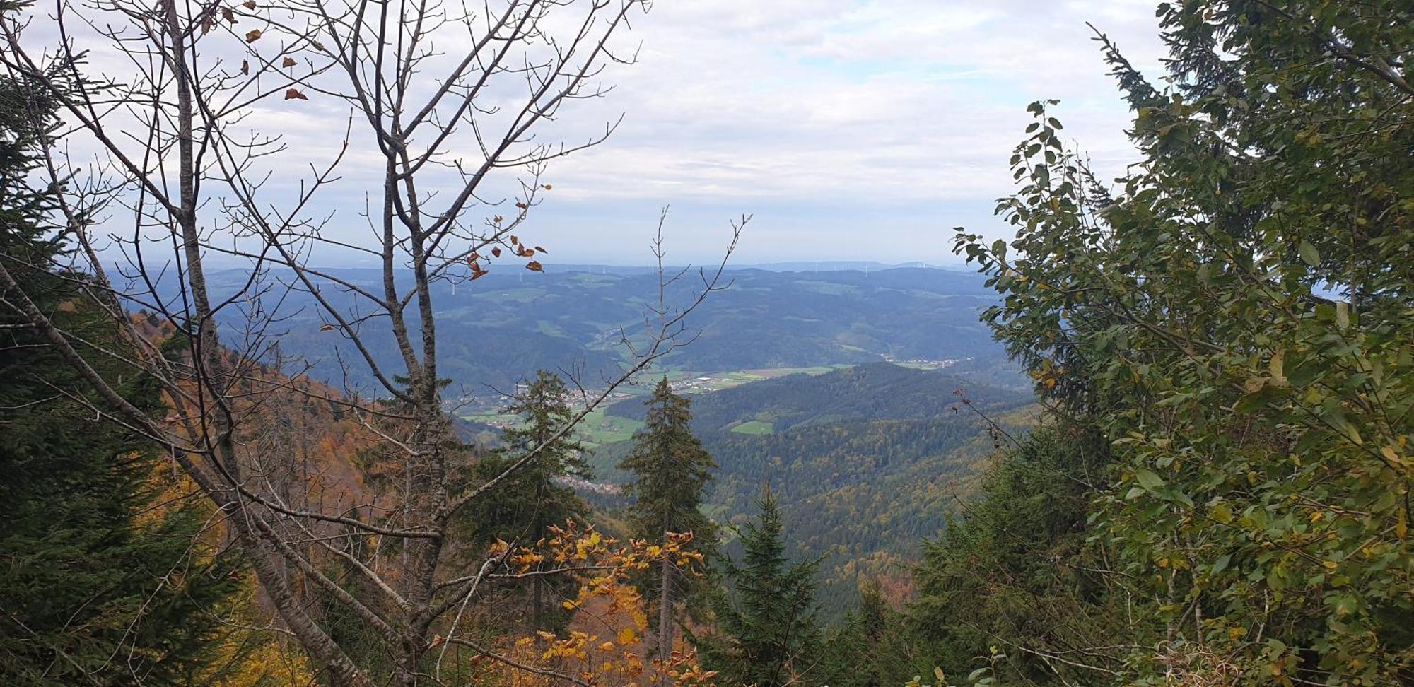 Ferienwohnung Herzlicht Titisee-Neustadt Eksteriør bilde