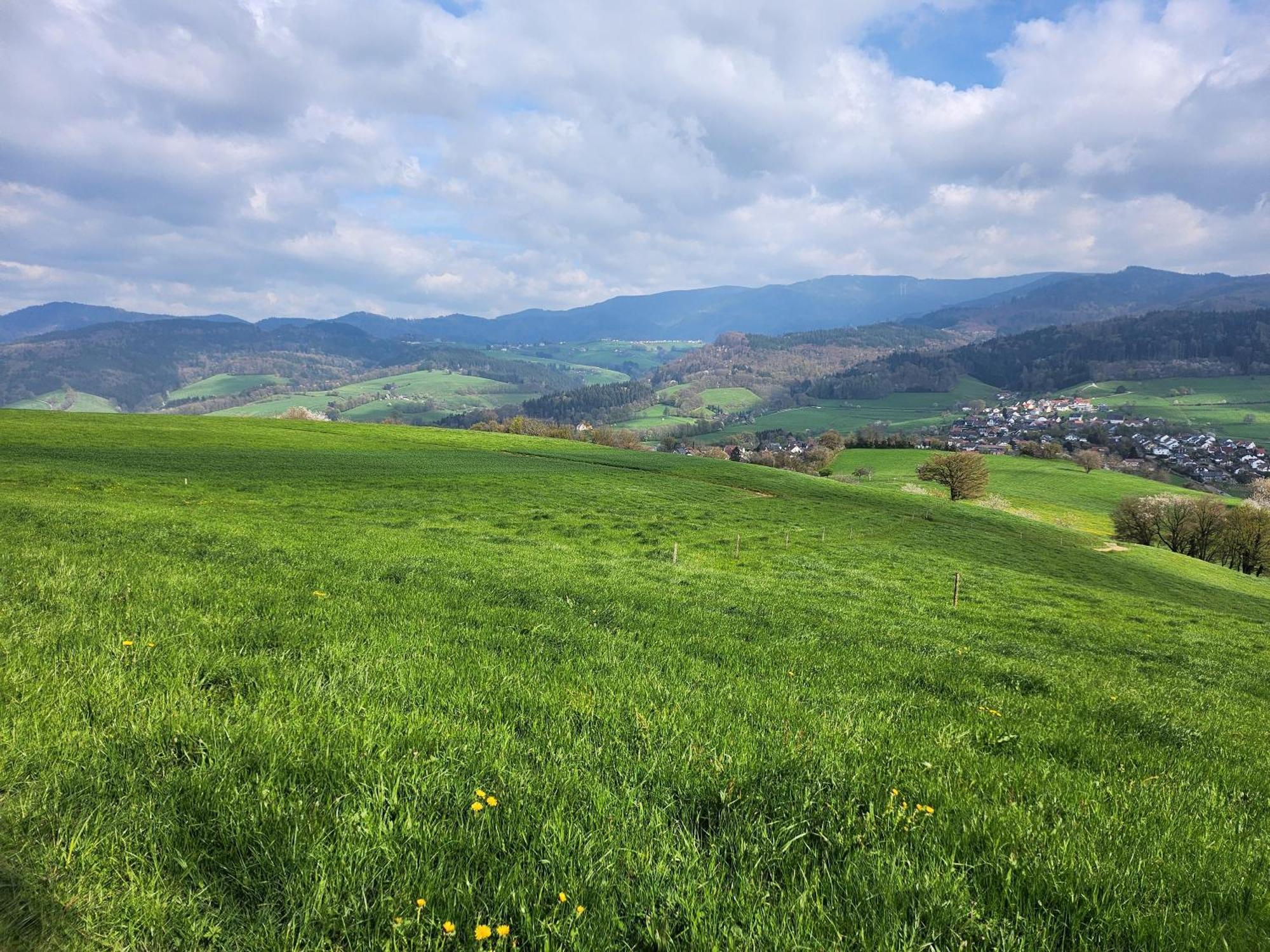 Ferienwohnung Herzlicht Titisee-Neustadt Eksteriør bilde